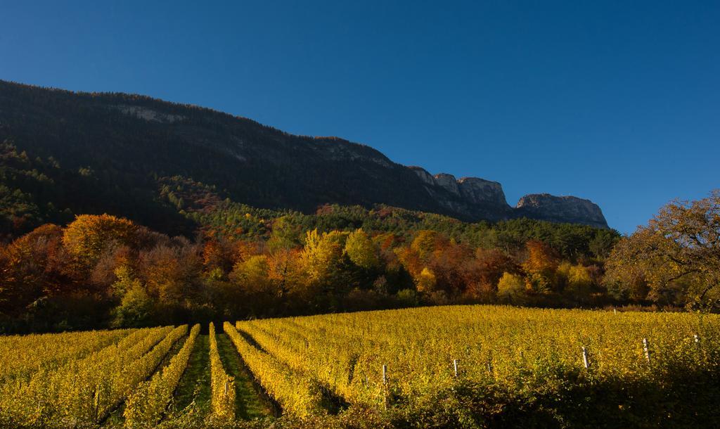 Weingut Wolkanhof Appiano Sulla Strada Del Vino Luaran gambar